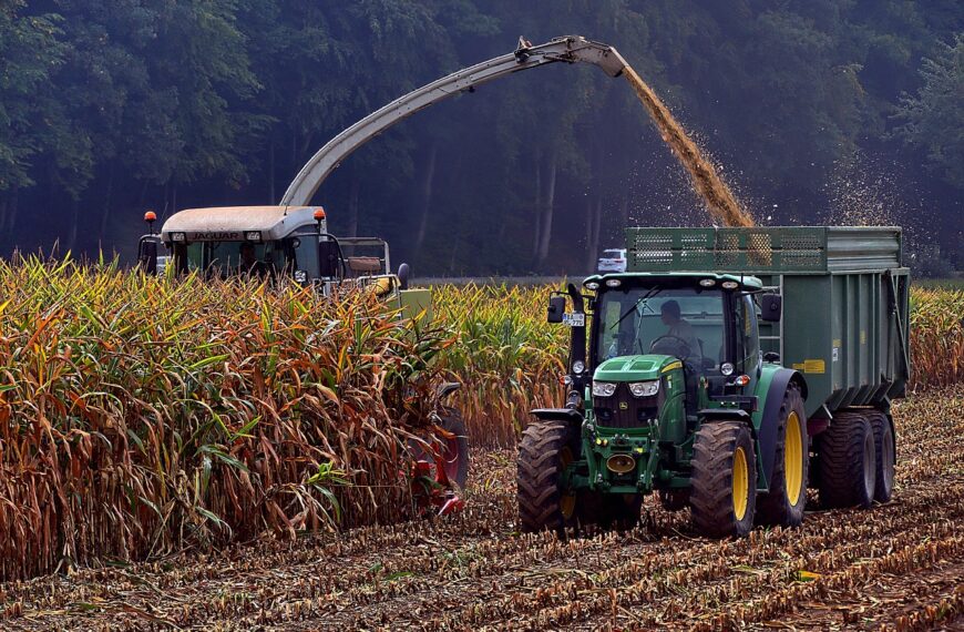 FAO Reports Strong Rebound in Global Food Commodity…