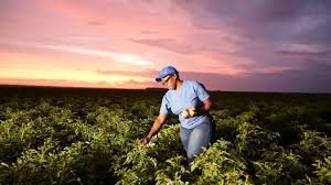 PepsiCo Expands Global Regenerative Farming Drive With 2030 Acreage Goal