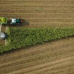 New Biofuel Policy Proposal Aims to Cut CO₂ Emissions Through Low-Carbon Farming