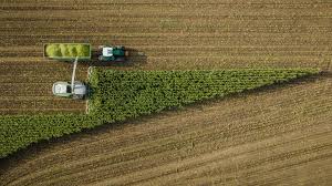 New Biofuel Policy Proposal Aims to Cut CO₂ Emissions Through Low-Carbon Farming