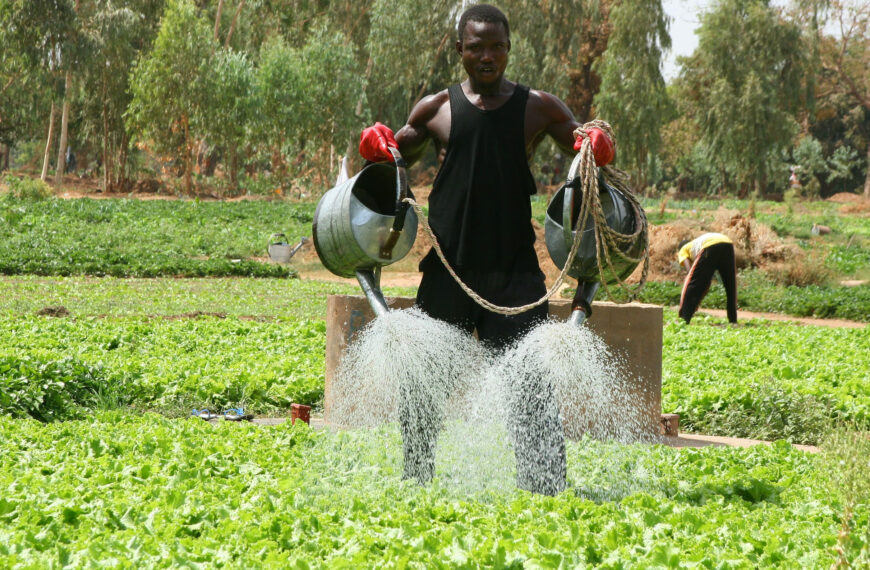 Sahel Irrigation Initiative Scales Up to Boost Farmer Resilience and Productivity