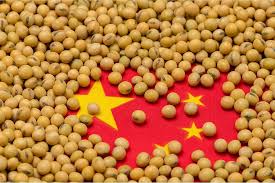 Global Soybean Trade Realigns as Brazil Expands Production Amid US–China Tensions