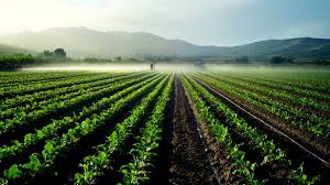 EU Moves to Ease Green…