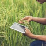 Agriculture Stocks in Focus: Key Companies to Watch in Today’s Market
