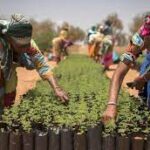 FAO Report at COP30 Underscores Deep Links Between Climate Change and Global Food Systems