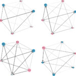New Research Reveals Rising Risk Spillovers Across Global Staple Food Markets