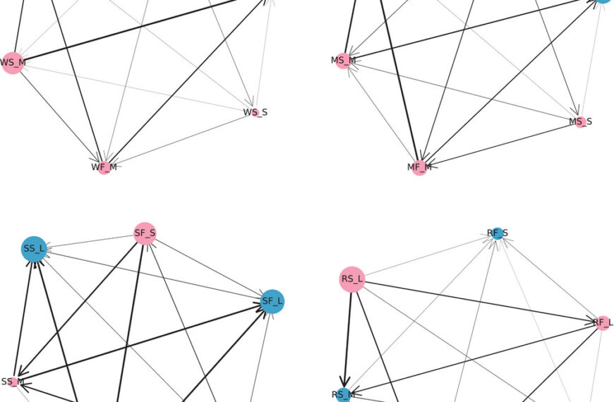 New Research Reveals Rising Risk Spillovers Across Global Staple Food Markets