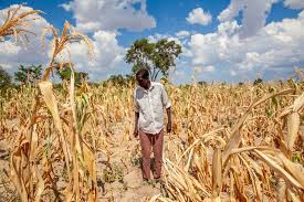 Global Weather Hazards Threaten Agriculture and Food Security:…