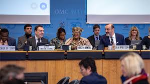 WTO Agriculture Chair Calls for Innovative Approaches to Advance Global Farm Policy Talks