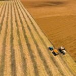 Biofuel Policies Need a Sustainability Overhaul, Say Researchers