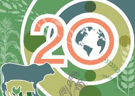 OECD–FAO Outlook Highlights Productivity and Sustainability as Cornerstones of Future Food-System Resilience