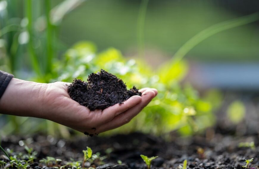 AI-Driven “Soil Carbon Copilots” Aim to Accelerate Regenerative Farming