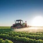 Scientists Push for Policy Shift Toward Low-Carbon Biofuels Rooted in Climate-Smart Farming