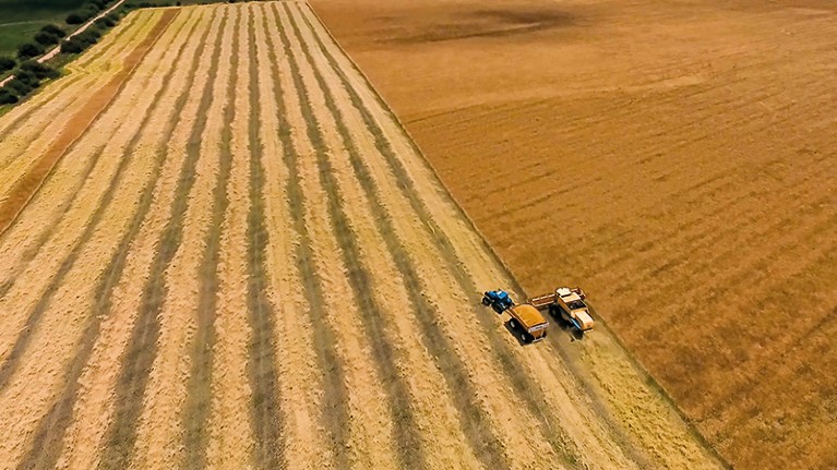 Biofuel Policies Need a Sustainability Overhaul, Say Researchers