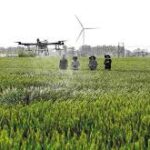 Global Push for Sustainable Agriculture Gains Momentum Amid Rising Food Security Risks
