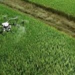 Brazil’s Agricultural Drone Fleet Grows Eleven-Fold, Redefining Crop Protection
