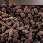 Global Cocoa Prices Spike Amid Supply Concerns