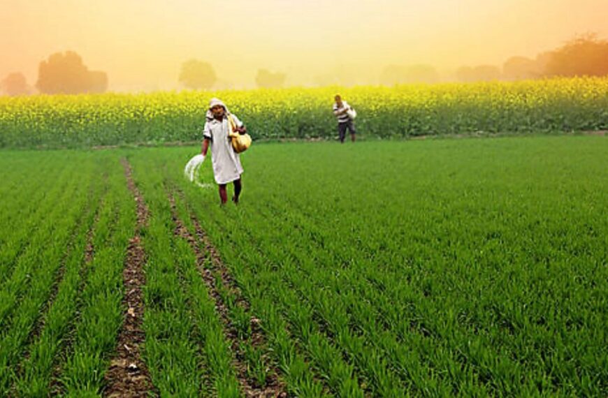 India’s Agriculture Sector Achieves Record Output in 2025 Amid Policy and Monsoon Support