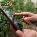 Agriculture Challenges and Trends Roundup Highlights Pressing Global Risks