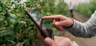 Agriculture Challenges and Trends Roundup Highlights Pressing Global Risks