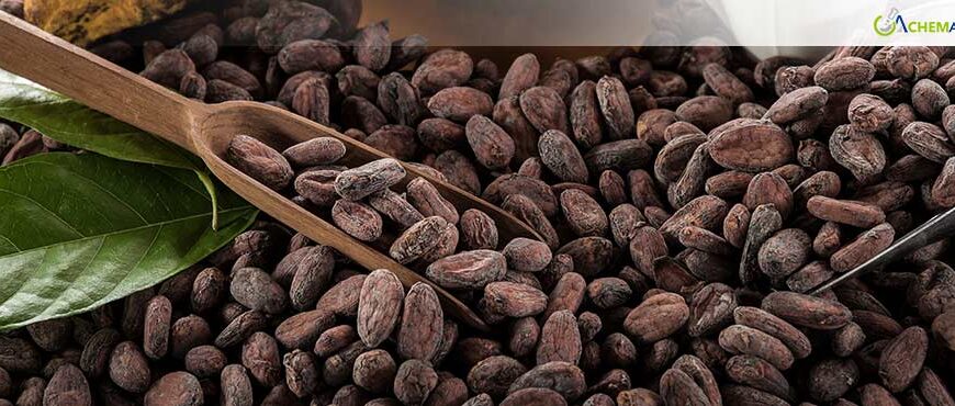 Global Cocoa Prices Spike Amid Supply Concerns