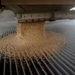 U.S. Soybean Export Forecast Holds Steady as China Resumes Purchases