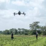 World Bank Report Highlights AI’s Potential to Transform Global Agrifood Systems