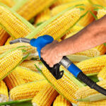 Rising Biofuel Demand Alters Global Edible Oil Price Dynamics