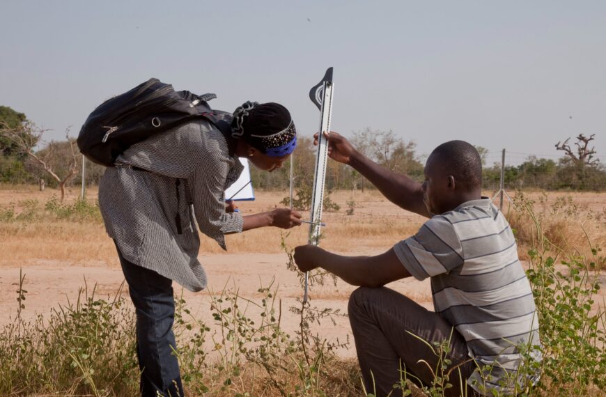 Experts Call for Renewed Action as Global Crop Diversity Declines