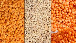 Government Prioritizes Farmer Welfare; Announces 100% Procurement of Tur, Masur, and Urad