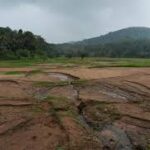 Sri Lankan Farmers Face Massive Replanting Effort After Cyclone Ditwah