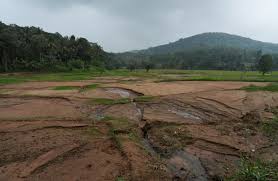 Sri Lankan Farmers Face Massive Replanting Effort After Cyclone Ditwah