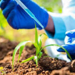 Brazil Sets Record for Agricultural Input Registrations in 2025, Highlighting Market Dynamism