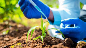 Brazil Sets Record for Agricultural Input Registrations in 2025, Highlighting Market Dynamism