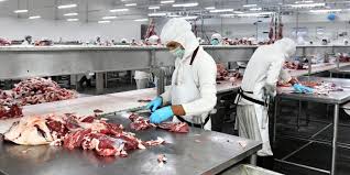 U.S. Beef Exports Face Growing Pressure Amid Plant Closures and Global Competition