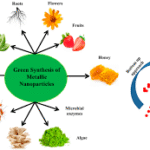 Zhongshan Chemical Achieves Major Breakthrough as Four Advanced Pesticide Synthesis Technologies Pass Appraisal