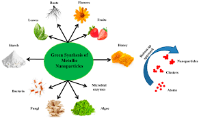 Zhongshan Chemical Achieves Major Breakthrough as Four Advanced Pesticide Synthesis Technologies Pass Appraisal