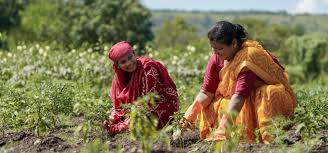 India Unveils New Farmer Support Package with Insurance Relief and Long-Term Horticulture Plan