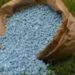 Europe’s Experience Offers Lessons for China’s Hyper-Competitive Specialty Fertilizer Market