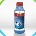 Bayer Crop Science Canada Introduces EverGol® Rise, Advancing Pulse Disease Control and Ease of Use