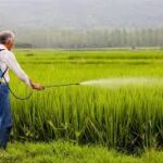 China Approves 448 Pesticide Products in November 2025, Highlighting First-Time Registration of Bisulflufen