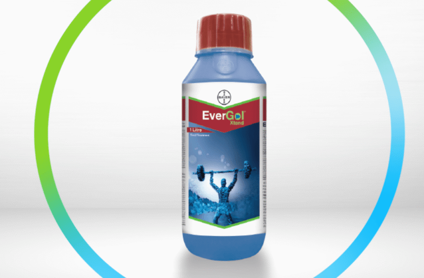Bayer Crop Science Canada Introduces EverGol® Rise, Advancing Pulse Disease Control and Ease of Use