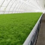 Government Promotes Agrotextiles to Enhance Agricultural Productivity and Sustainability