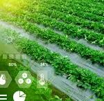 Climate Change Poses Serious Threat to Global Crop Yields Despite Adaptation Efforts