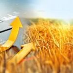 Global Agricultural Markets Shaped by 2025 Dynamics