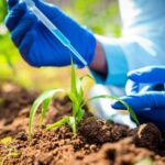 Brazil Records Highest-Ever Agri-Input Registrations in 2025, CropLife Data Show