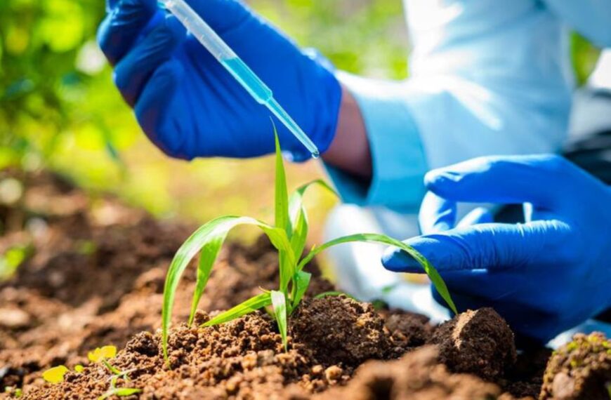 Brazil Records Highest-Ever Agri-Input Registrations in 2025, CropLife Data Show