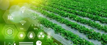 Climate Change Poses Serious Threat to Global Crop Yields Despite Adaptation Efforts