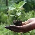 Government Strengthens Natural Farming Initiatives Across India
