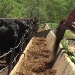 U.S. Unveils $12 Billion Aid Package for Farmers Affected by Trade Disruptions